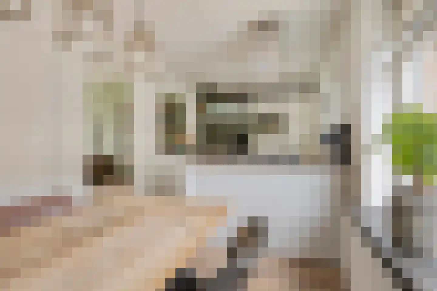 Geleijn Cornelissestraat 8 Middelharnis thumbnail 17