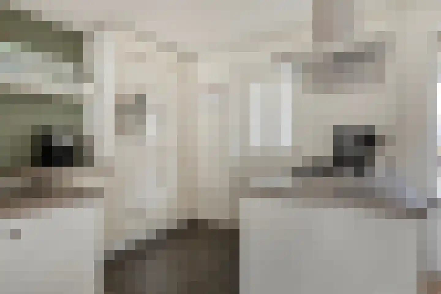 Geleijn Cornelissestraat 8 Middelharnis thumbnail 18