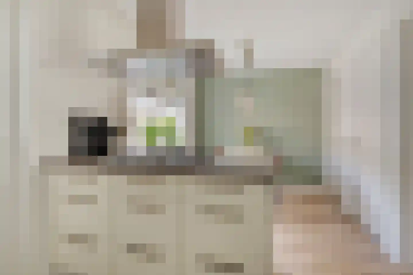 Geleijn Cornelissestraat 8 Middelharnis thumbnail 19
