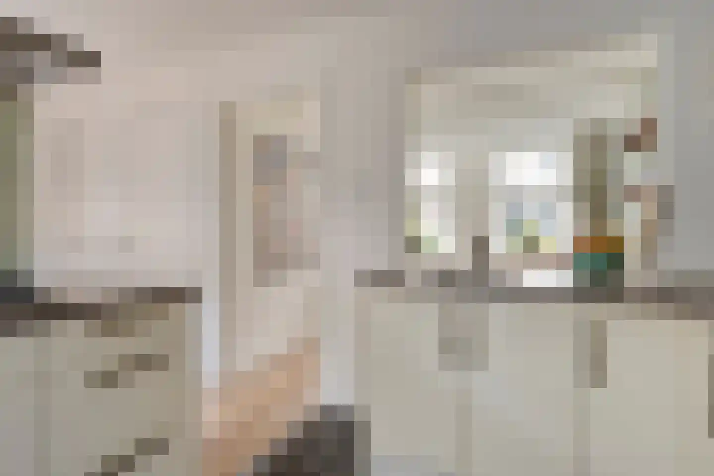 Geleijn Cornelissestraat 8 Middelharnis thumbnail 21