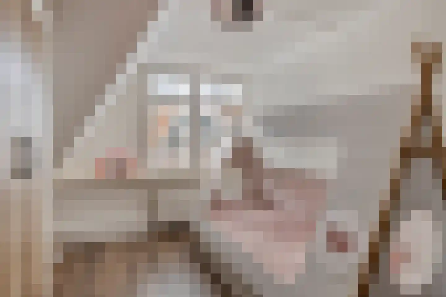 Geleijn Cornelissestraat 8 Middelharnis thumbnail 32