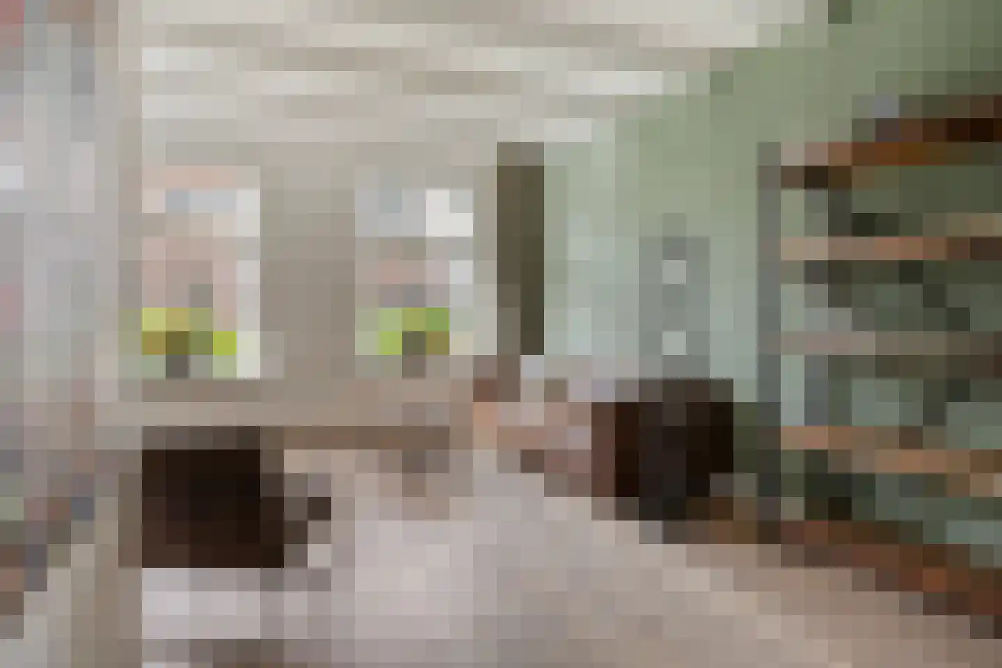 Geleijn Cornelissestraat 8 Middelharnis thumbnail 8