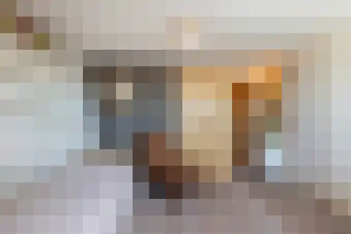 Geleijn d'Hoorneplein 12 Middelburg thumbnail 18