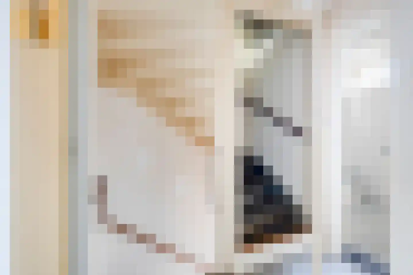 Geleijnsestraat 44 Doetinchem thumbnail 20