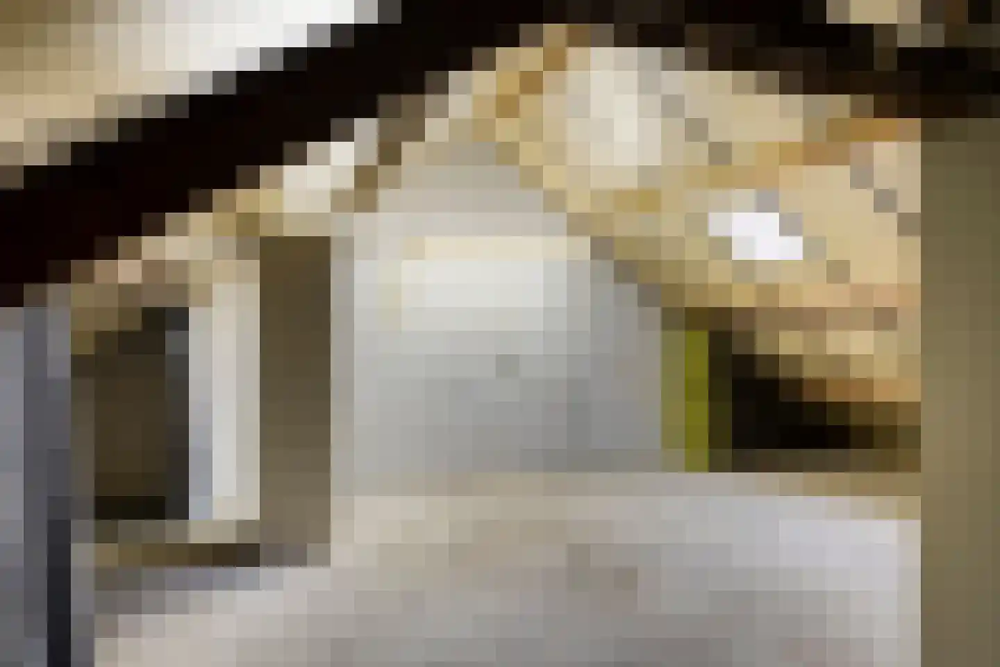 Geleijnsestraat 44 Doetinchem thumbnail 21