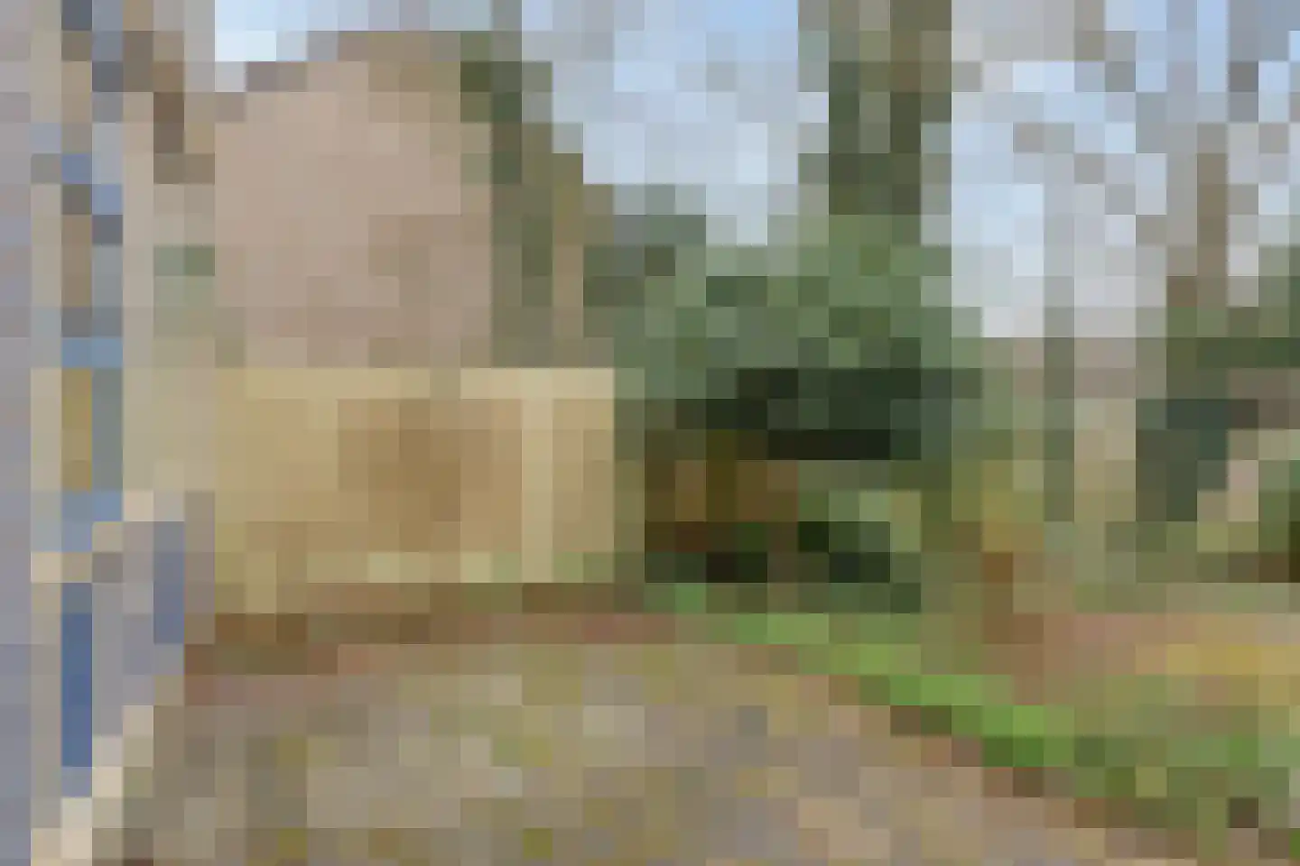 Geleijnsestraat 44 Doetinchem thumbnail 24
