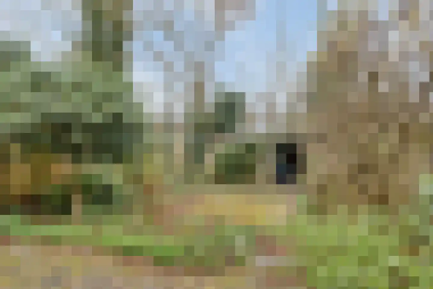 Geleijnsestraat 44 Doetinchem thumbnail 25