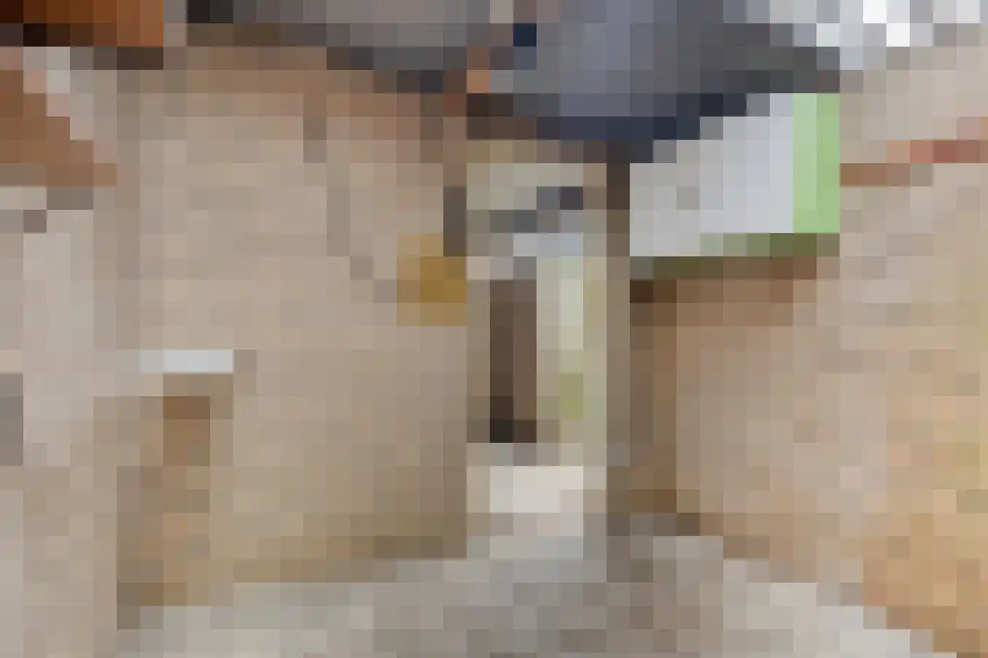Geleijnsestraat 44 Doetinchem thumbnail 28