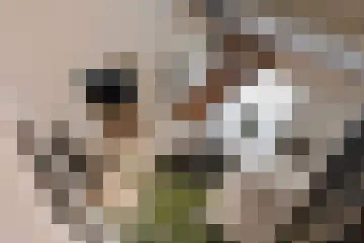 Gelein 12 Heerlen thumbnail 31