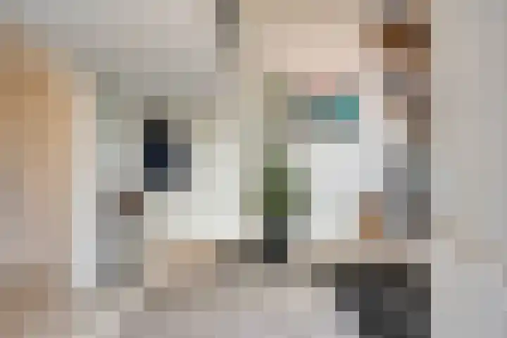 Gelein 12 Heerlen thumbnail 4