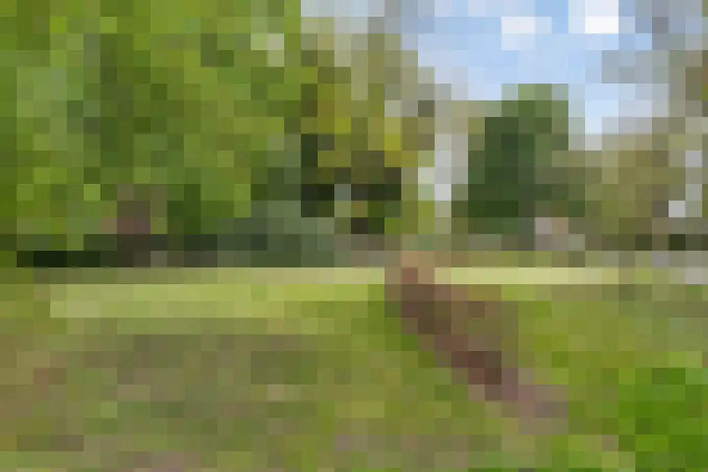 Gelind 16 b Gemert thumbnail 24
