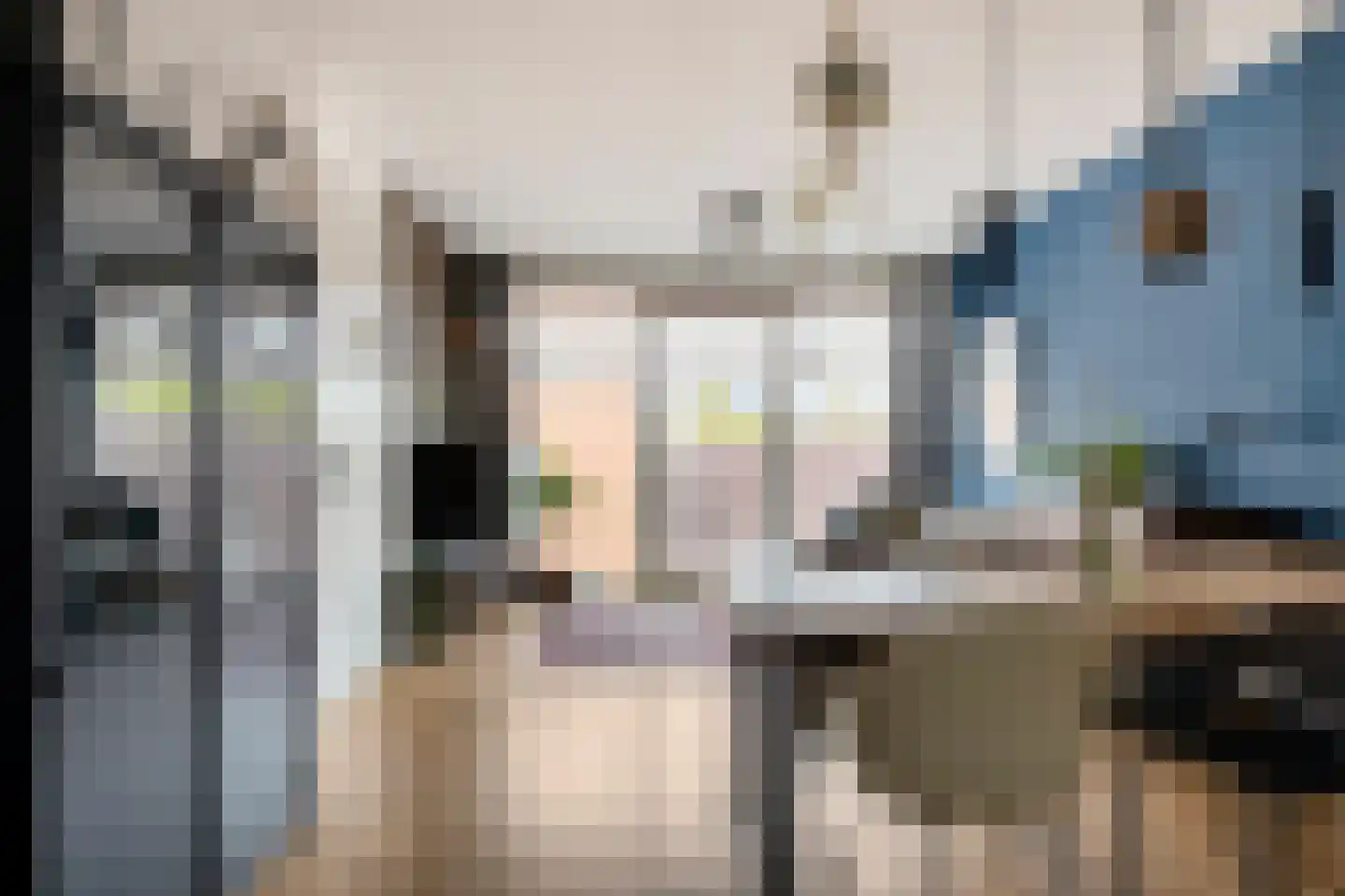 Gelind 16 b Gemert thumbnail 8