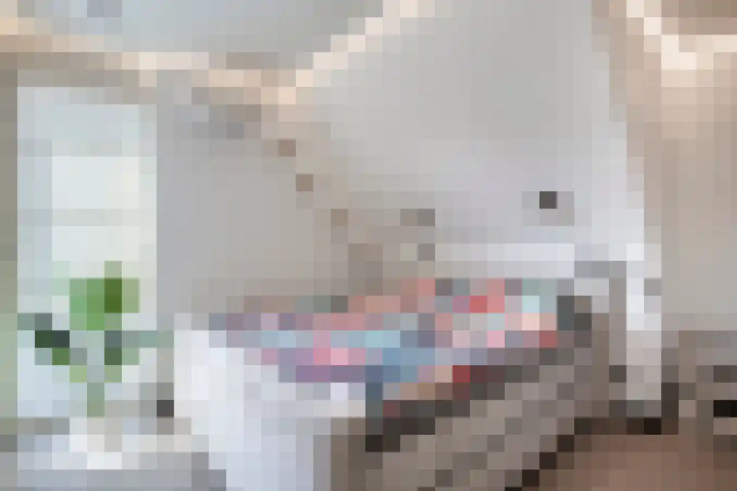 Gelind 43 Gemert thumbnail 10