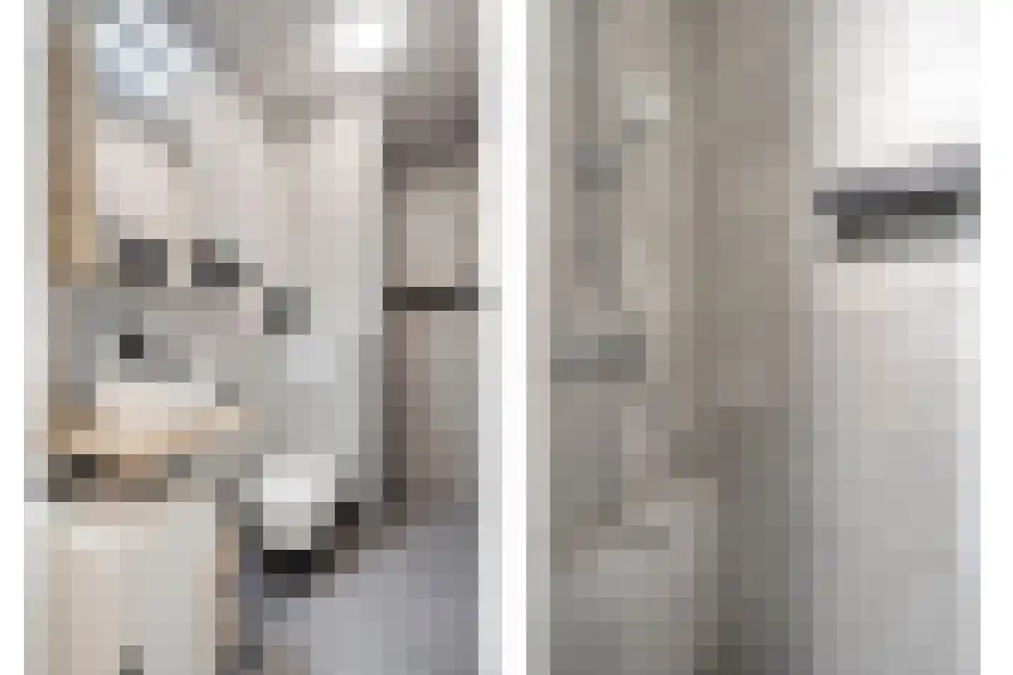 Gelind 43 Gemert thumbnail 13