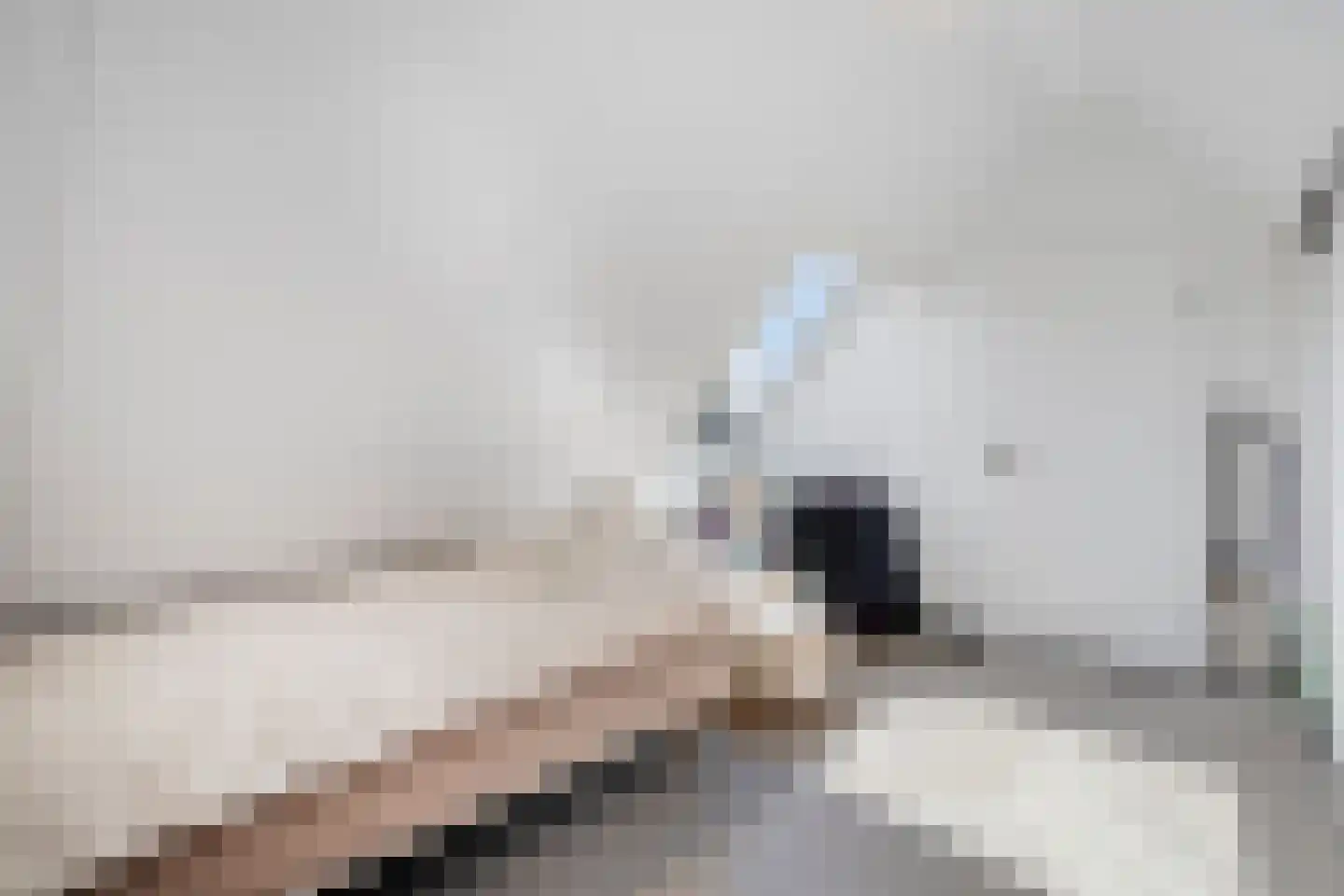 Gelind 43 Gemert thumbnail 17
