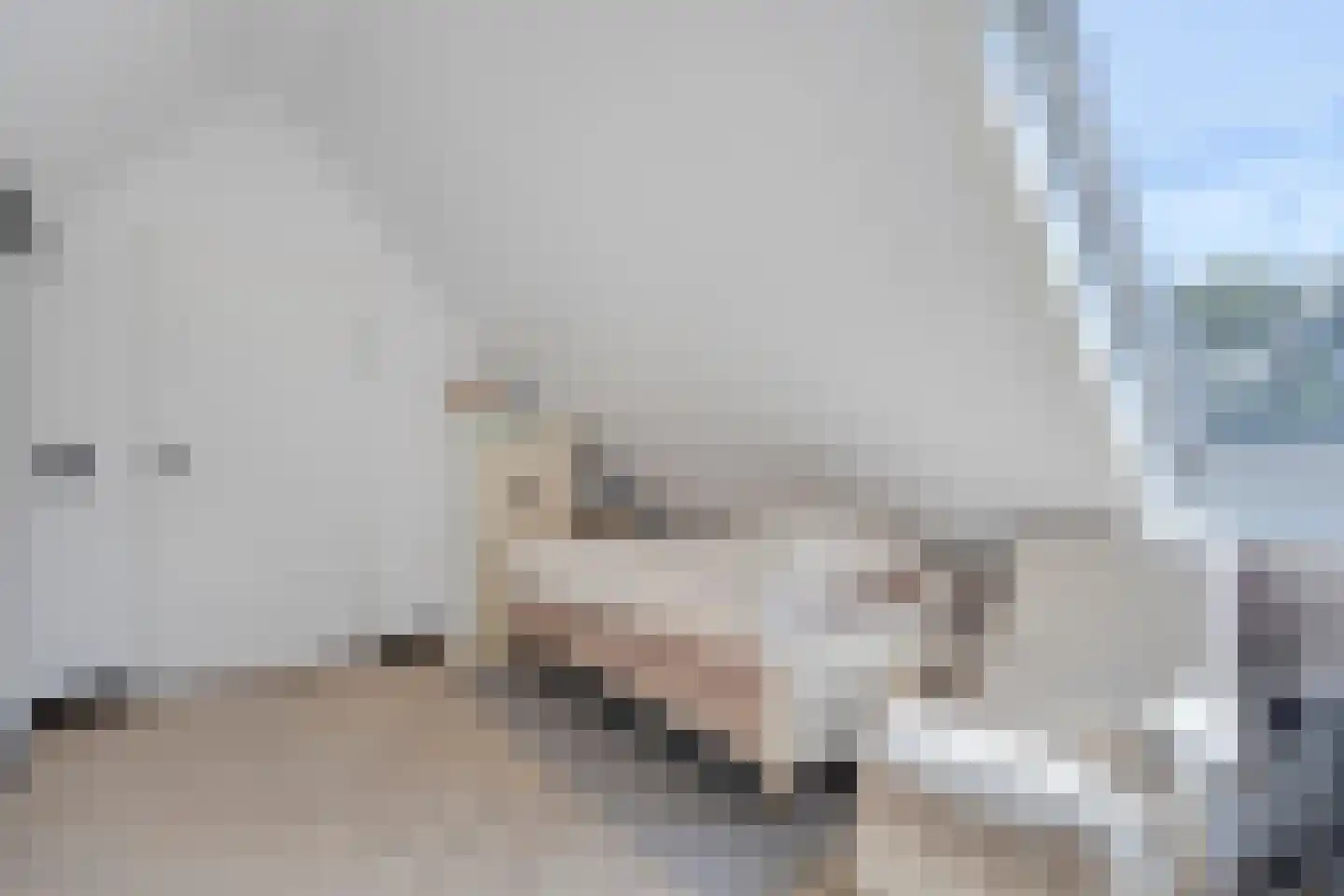 Gelind 43 Gemert thumbnail 19