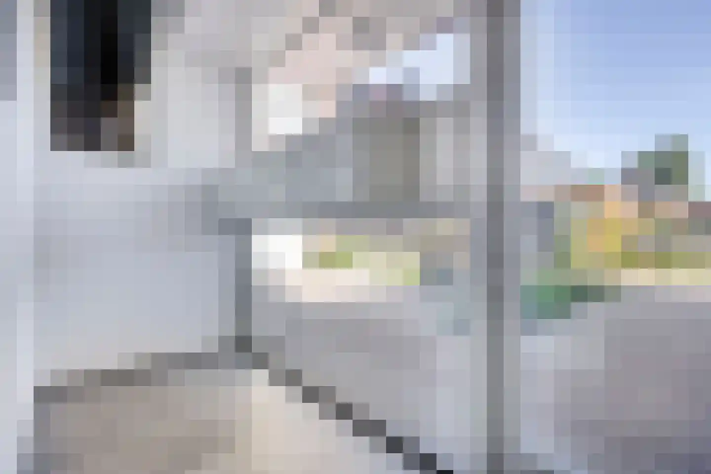 Gelind 43 Gemert thumbnail 24