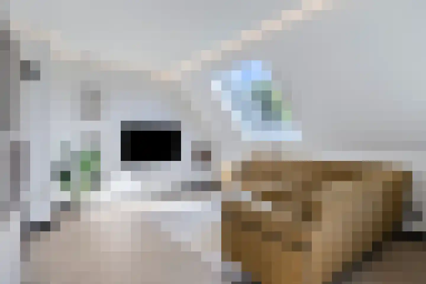 Gelind 43 Gemert thumbnail 6