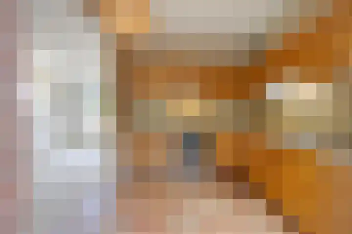 Gelissenstraat 12 Oss thumbnail 10