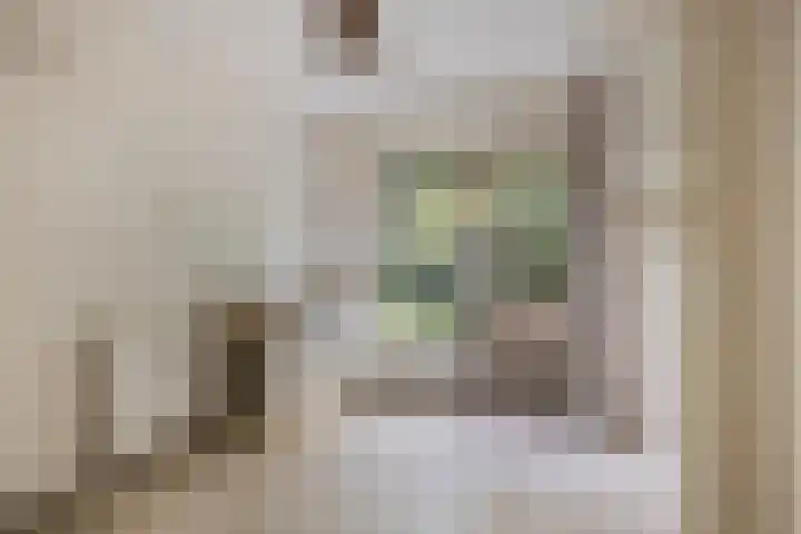 Gelissenstraat 12 Oss thumbnail 12