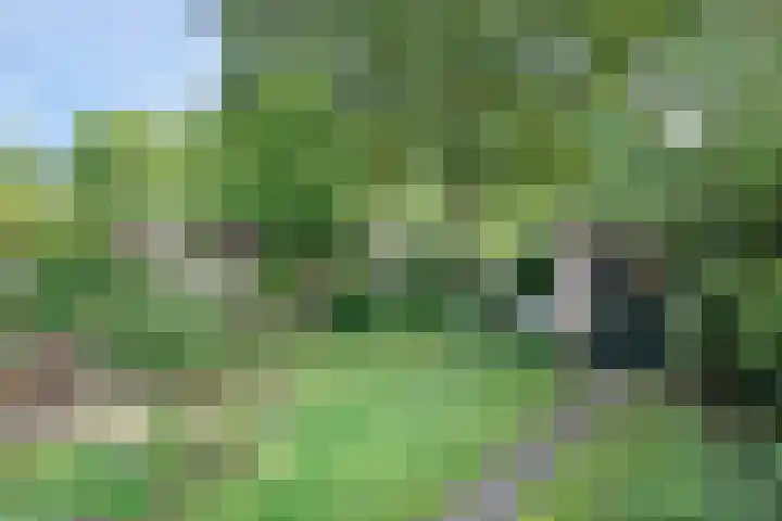 Gelissenstraat 12 Oss thumbnail 27