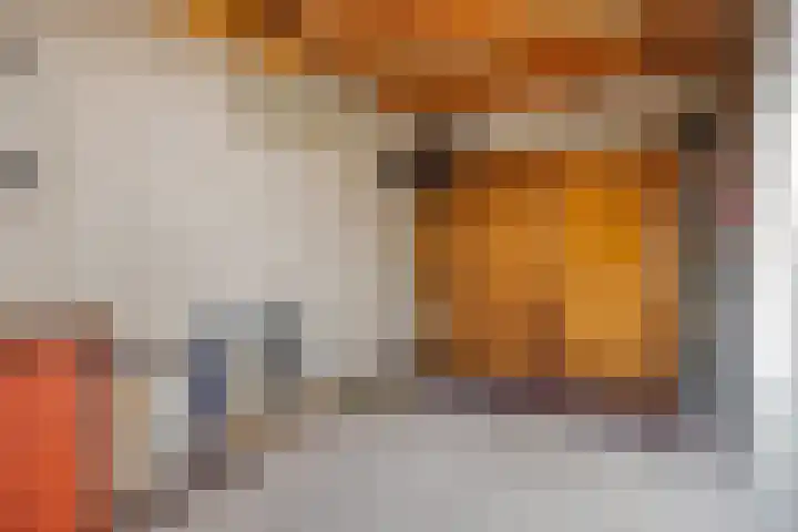 Gelissenstraat 12 Oss thumbnail 31