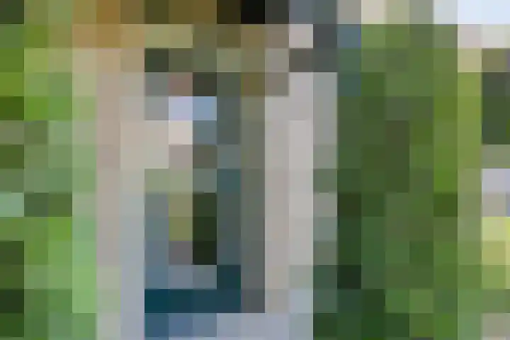 Gelissenstraat 12 Oss thumbnail 32