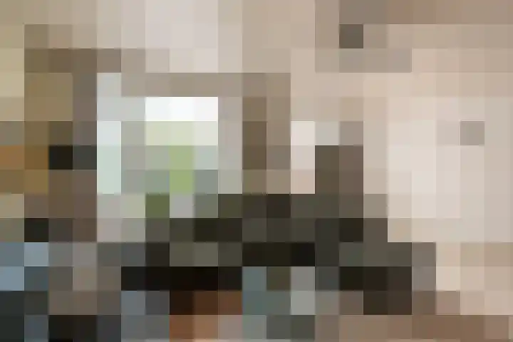 Gelissenstraat 2 Oss thumbnail 10