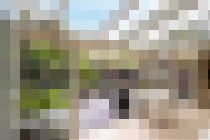 Gelissenstraat 2 Oss thumbnail 11