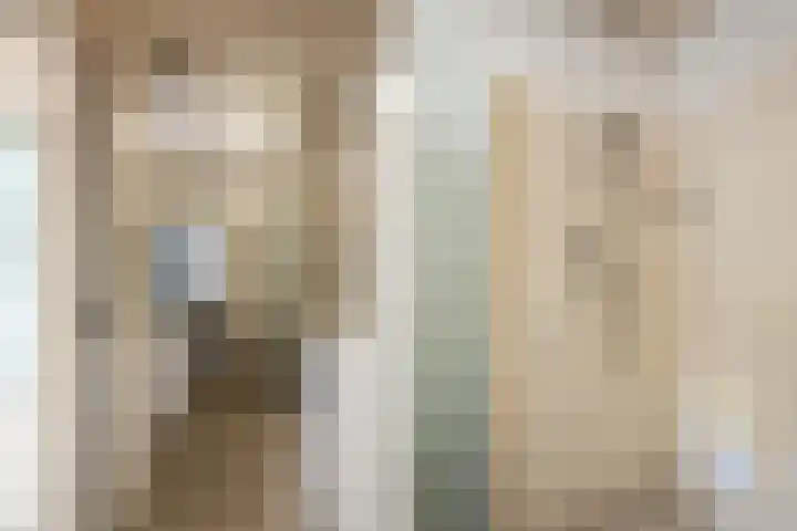 Gelissenstraat 2 Oss thumbnail 13