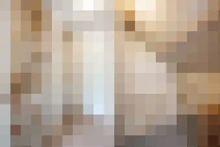 Gelissenstraat 2 Oss thumbnail 14