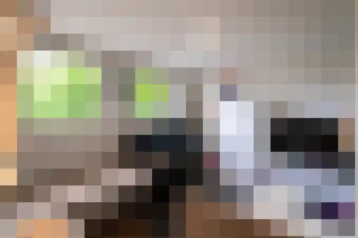 Gelissenstraat 2 Oss thumbnail 16