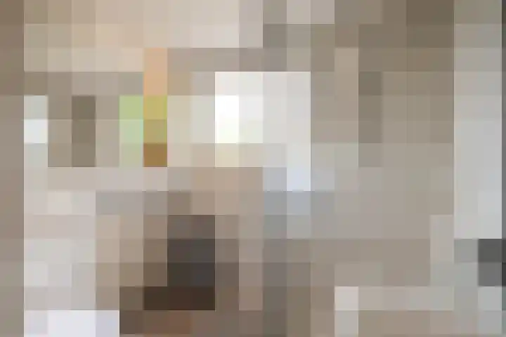 Gelissenstraat 2 Oss thumbnail 19