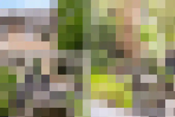 Gelissenstraat 2 Oss thumbnail 22