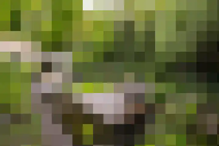 Gelissenstraat 2 Oss thumbnail 23