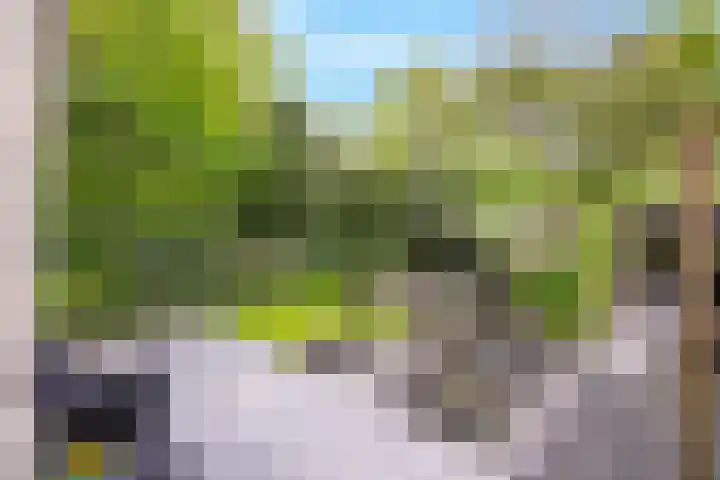 Gelissenstraat 2 Oss thumbnail 24