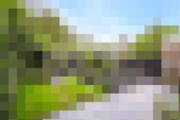 Gelissenstraat 2 Oss thumbnail 25
