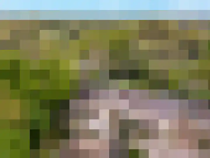 Gelissenstraat 2 Oss thumbnail 32