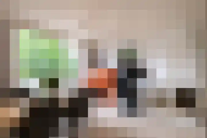 Gelissenstraat 2 Oss thumbnail 7
