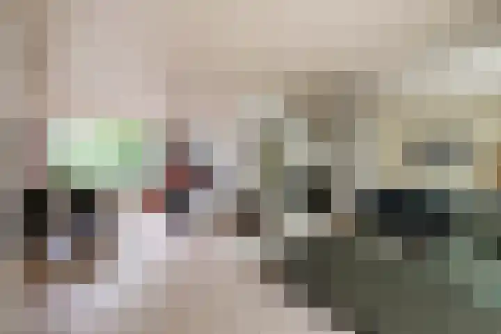 Gelissenstraat 2 Oss thumbnail 9