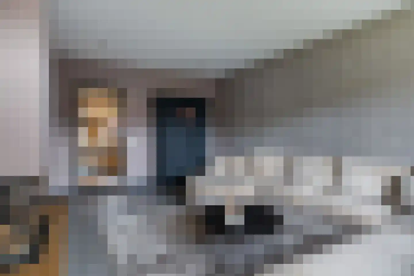 Gelkenhorsterweg 6 Barneveld thumbnail 24