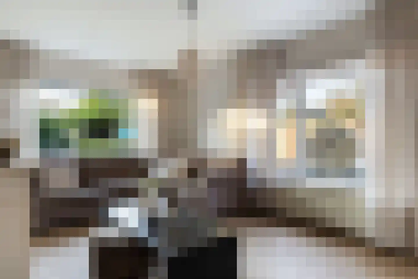 Gelkenhorsterweg 6 Barneveld thumbnail 44