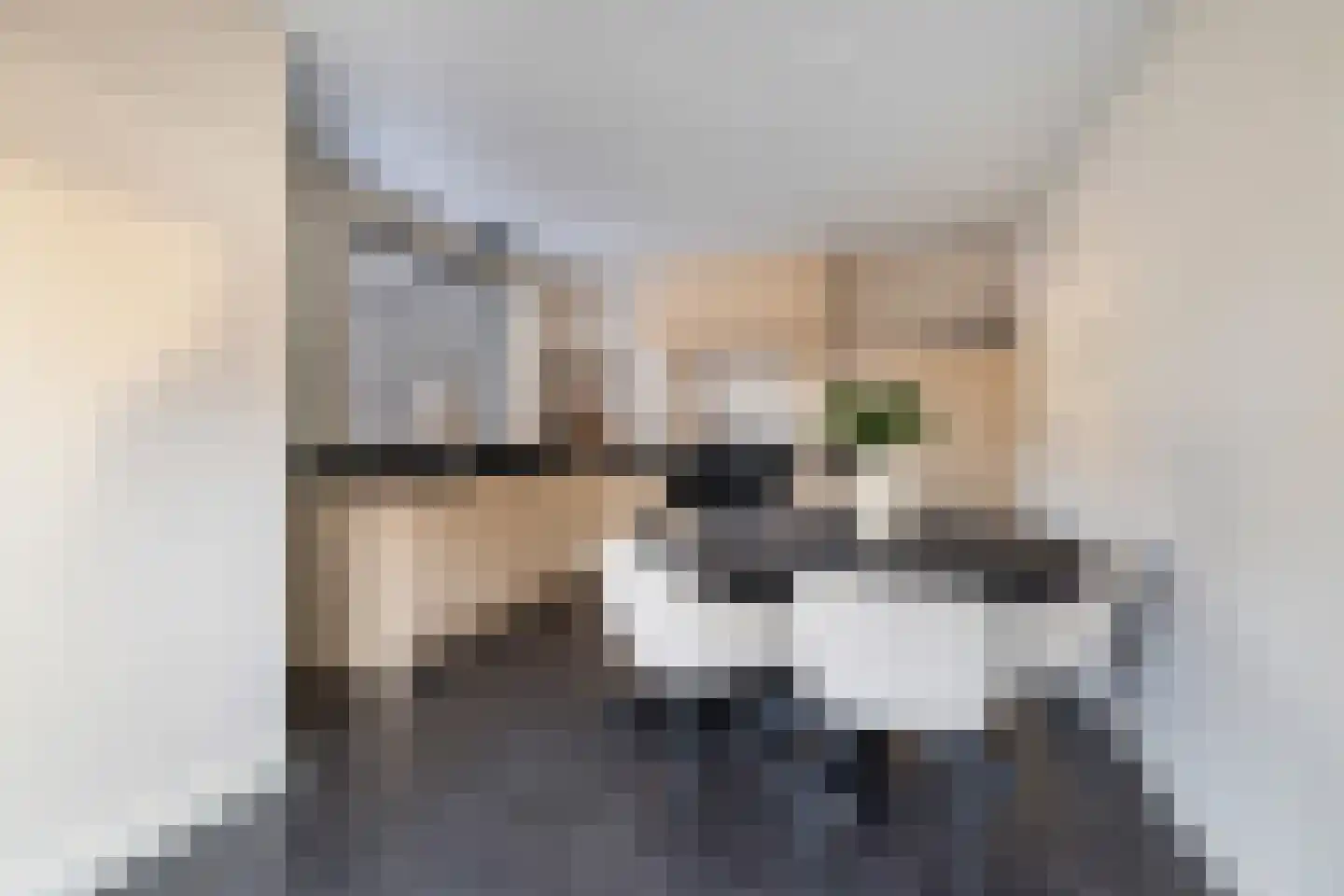 Gelkenhorsterweg 6 Barneveld thumbnail 48