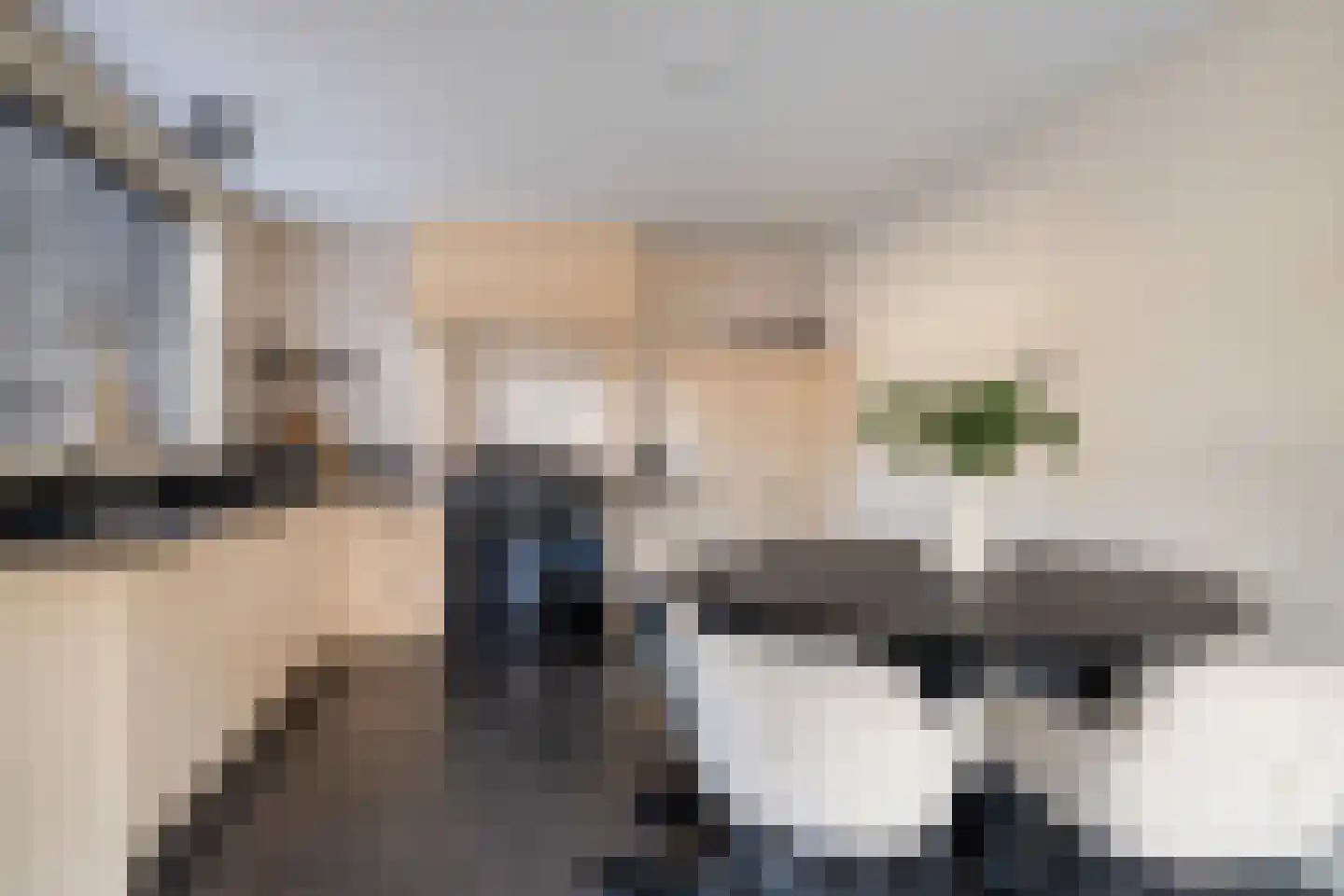 Gelkenhorsterweg 6 Barneveld thumbnail 49