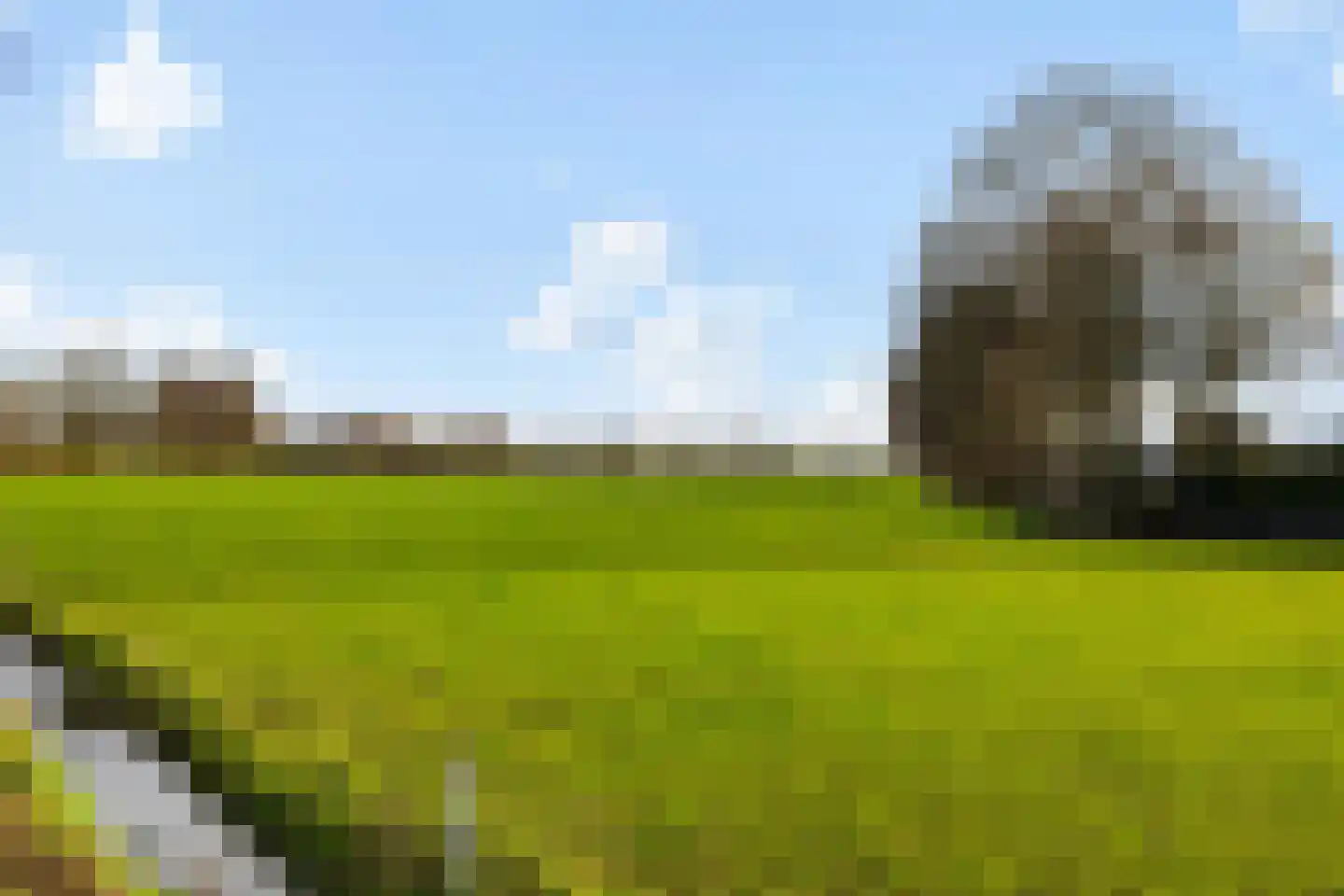 Gelkenhorsterweg 6 Barneveld thumbnail 72