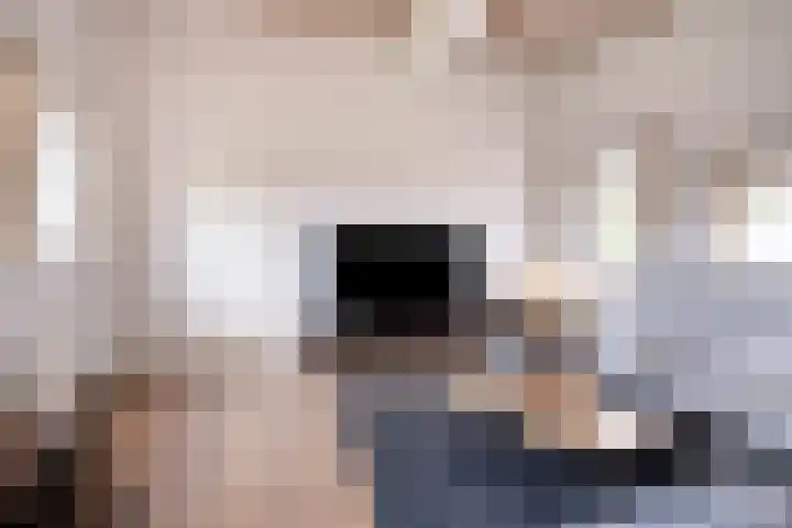 Gelkinkweg 3 De Heurne thumbnail 12