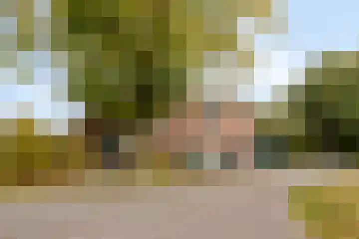 Gelkinkweg 3 De Heurne foto 2
