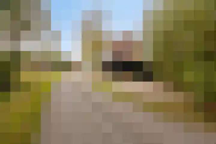 Gelkinkweg 3 De Heurne foto 3