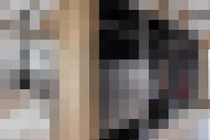 Gelkinkweg 3 De Heurne thumbnail 36