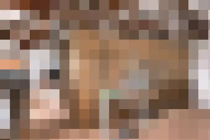 Gelkinkweg 3 De Heurne thumbnail 39
